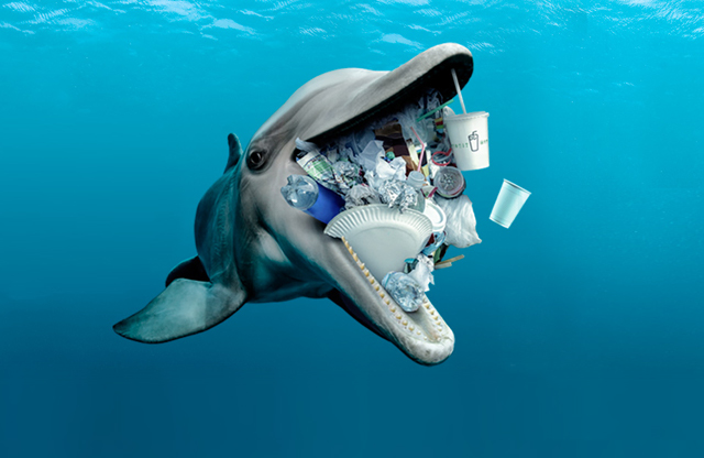 Delfin mit Plastikmüll – Kampagnensujet des WWF Deutschland