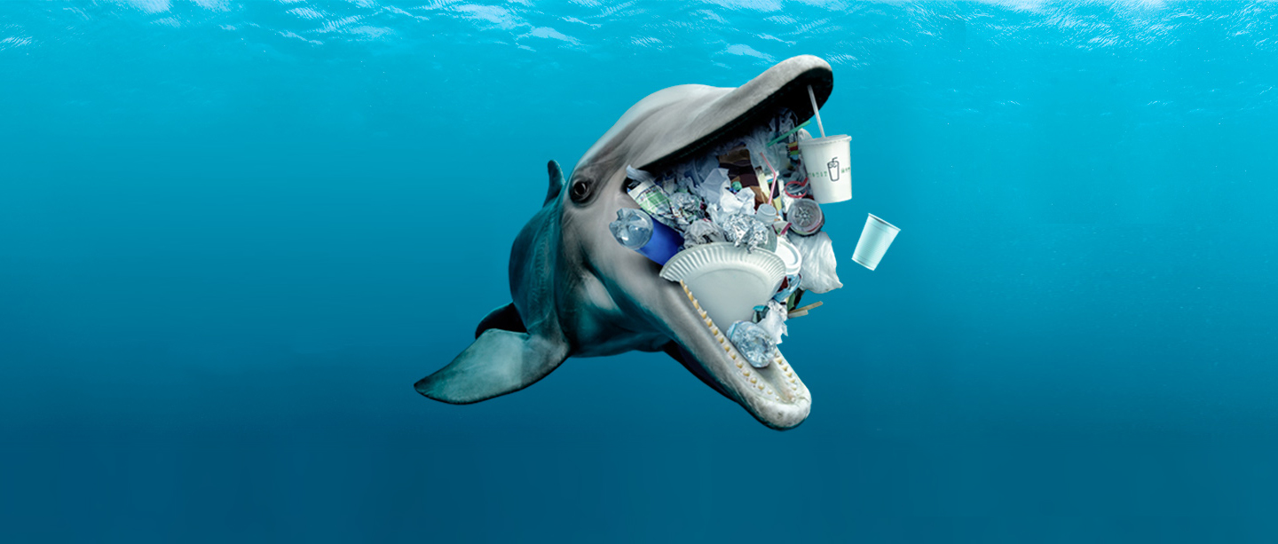 Delfin mit Plastikmüll – Kampagnensujet des WWF Deutschland